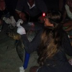 Il paradiso delle tartarughe a Camerota